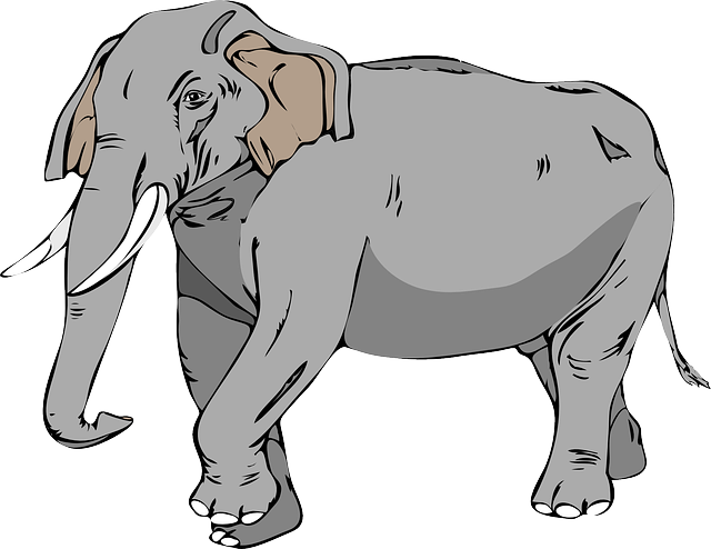 elefante para imprimir