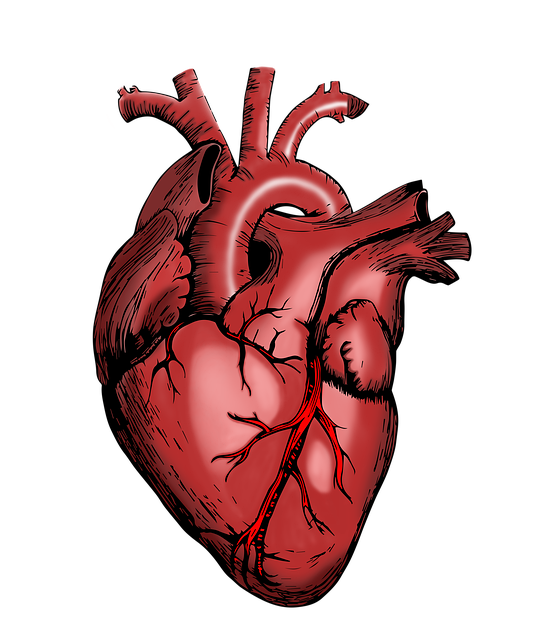 corazón para colorear